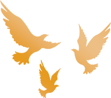 養(yǎng)護(hù)工區(qū)安全檢查_(kāi)路況_公路養(yǎng)護(hù)月度考核