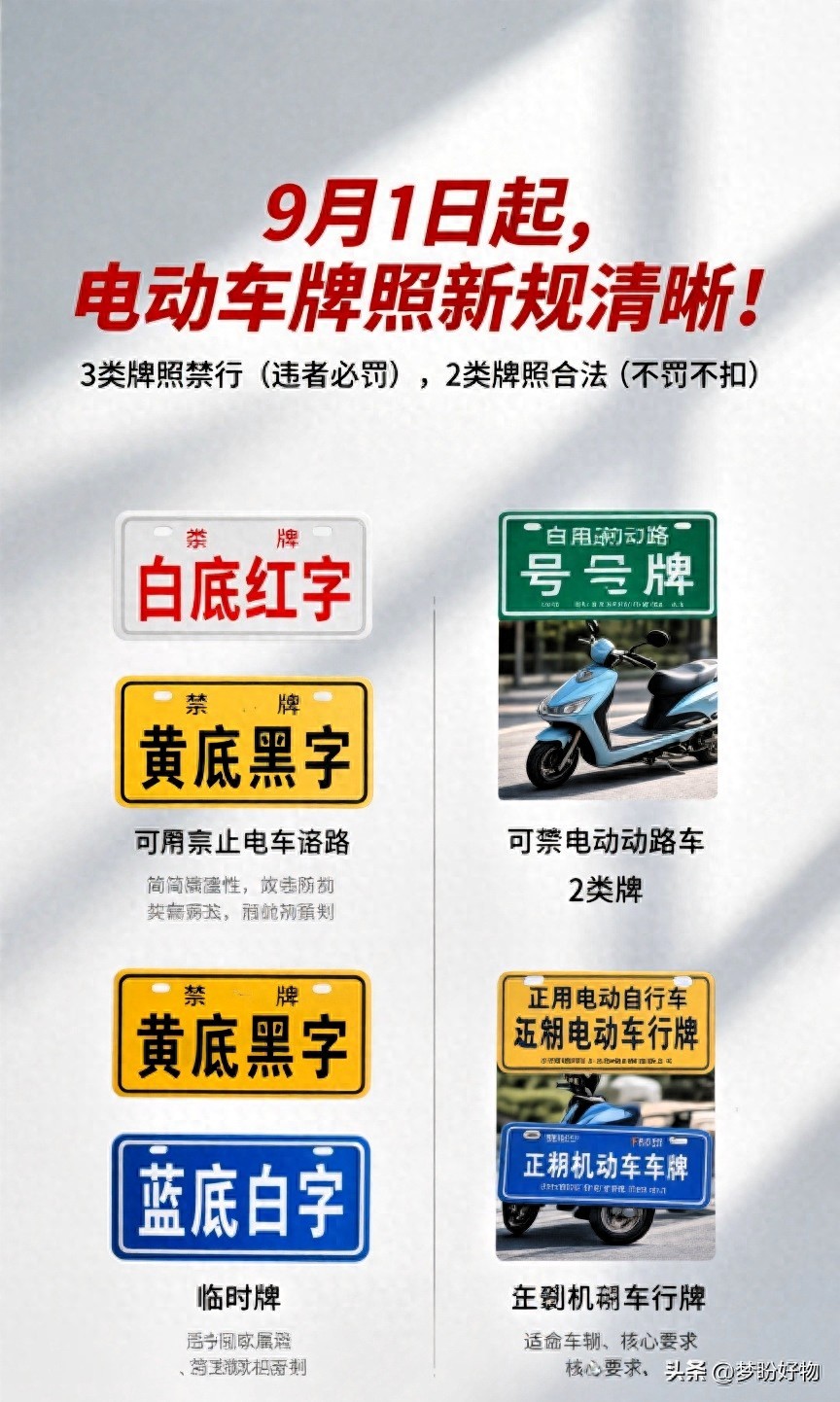 非標牌照禁行處罰_電動車牌照新規(guī)2025_限行