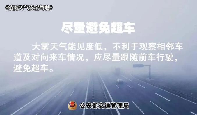 霧天安全行車小貼士_出行提示_大霧天氣出行注意事項