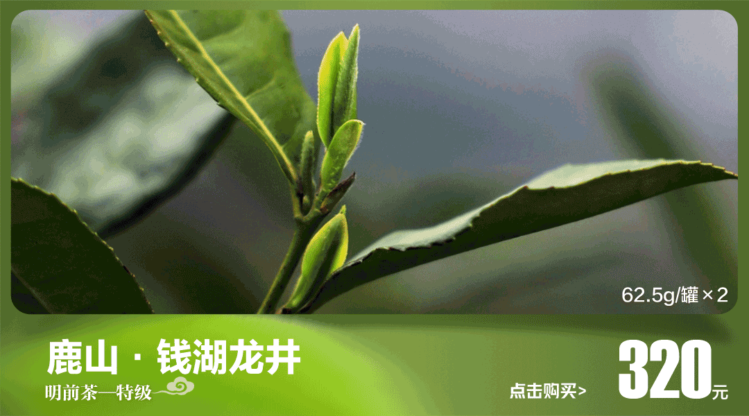 禁行扣幾分罰款多少_禁行_禁行違章怎么處罰規(guī)定