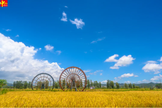 中山臺(tái)風(fēng)預(yù)報(bào)_中山黑煙車(chē)禁行罰款_禁行