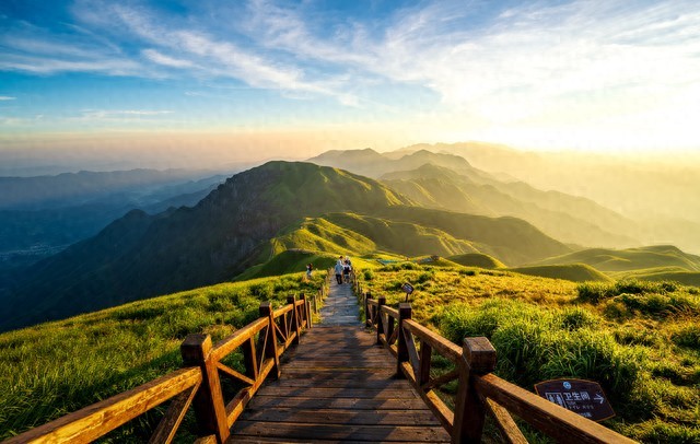 限行_2026新車牌改革_8位號牌分類標(biāo)識