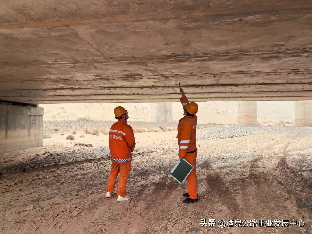 路況_病害分析_路況調(diào)查