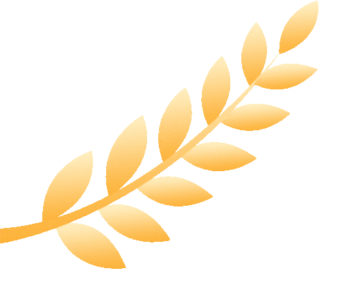 限行_天津國(guó)慶不限行_天津尾號(hào)限行規(guī)定