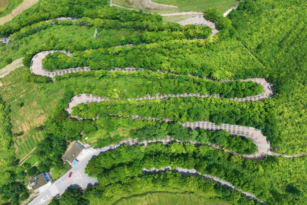 出行提示_農(nóng)村道路交通安全提示_駕駛?cè)顺鲂邪踩?/></p></div>
    <div   id="uinhrrg"   class="clearfix"></div>
        <h5 class="post-tags"><span id="uinhrrg"    class="glyphicon glyphicon-tags"></span> <a href="http://m.laoe8.com/tags-7357.html" title="農(nóng)村交通安全">農(nóng)村交通安全</a><a href="http://m.laoe8.com/tags-2648.html" title="交通安全提示">交通安全提示</a><a href="http://m.laoe8.com/tags-8805.html" title="駕駛?cè)税踩?>駕駛?cè)税踩?/a><a href="http://m.laoe8.com/tags-6889.html" title="行人安全">行人安全</a><a href="http://m.laoe8.com/tags-8806.html" title="黔江交警">黔江交警</a></h5>
        <div   id="uinhrrg"   class="alert alert-info p-copyright" role="alert">
        <p> 本站文章除注明轉(zhuǎn)載/出處外，均為本站原創(chuàng)或翻譯。若要轉(zhuǎn)載請(qǐng)務(wù)必注明出處，尊重他人勞動(dòng)成果共創(chuàng)和諧網(wǎng)絡(luò)環(huán)境。 </p>
        <p> 轉(zhuǎn)載請(qǐng)注明 : 文章轉(zhuǎn)載自 ?<a href="http://m.laoe8.com/" rel="bookmark" title="作者：admin"> 途訊交通網(wǎng) </a>?<a href="http://m.laoe8.com/txfl-3.html" rel="bookmark" title="網(wǎng)站分類：出行攻略與工具"> 出行攻略與工具 </a> ?<a href="http://m.laoe8.com/tx/13597.html" rel="bookmark" title="本文固定鏈接：http://m.laoe8.com/tx/13597.html"> 10月16日黔江民警做客欄目解讀農(nóng)村道路交通安全要點(diǎn) </a> </p>
    </div>
    <div   id="uinhrrg"   class="clearfix"></div>
    <ul class="post-share-tools">
        <li><a href="javascript:;" class="share-tools praise" xv=