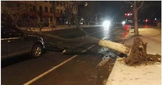 大風(fēng)天氣行車(chē)安全注意事項(xiàng)_出行提示_大風(fēng)天氣車(chē)輛行駛技巧