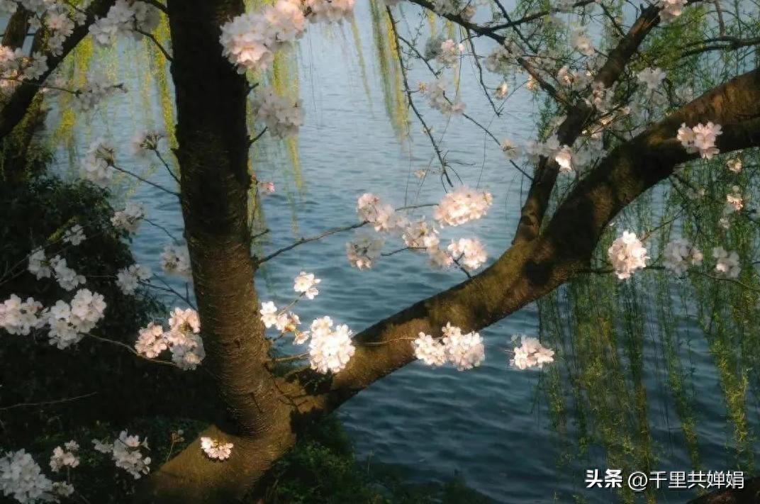 限行_天津限行尾號(hào)規(guī)則變動(dòng)_天津限行新規(guī)字母車(chē)牌管理