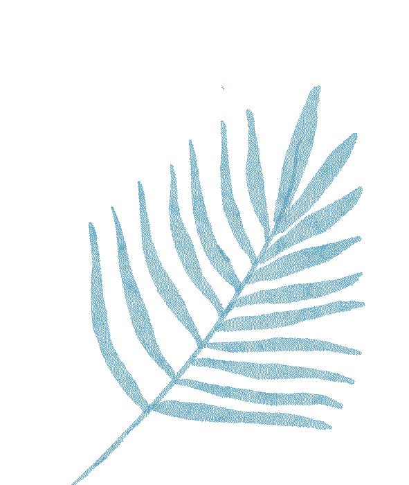 出行提示_冰雪路面駕駛技巧_冬季雪霧天氣行車安全