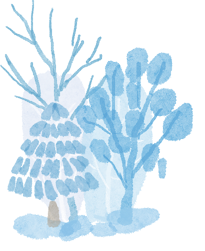 大風(fēng)降溫天氣預(yù)報_明顯降雪天氣預(yù)報_出行提示