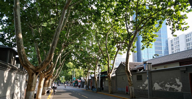 北京限行政策外地車規(guī)定_北京限行政策區(qū)域劃分_限行