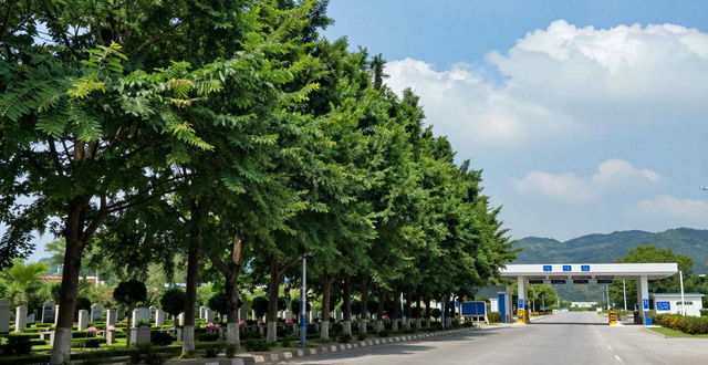 2024年清明高速免費政策_(dá)高速清明出行注意事項_出行提示